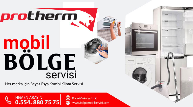 Kocaeli Petek Temizleme
